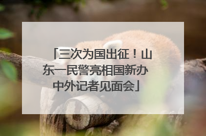 三次为国出征！山东一民警亮相国新办中外记者见面会