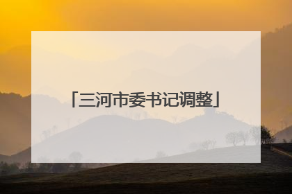 三河市委书记调整
