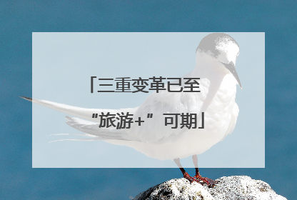 三重变革已至 “旅游+”可期