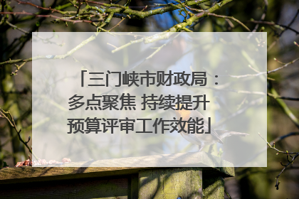三门峡市财政局：多点聚焦 持续提升预算评审工作效能
