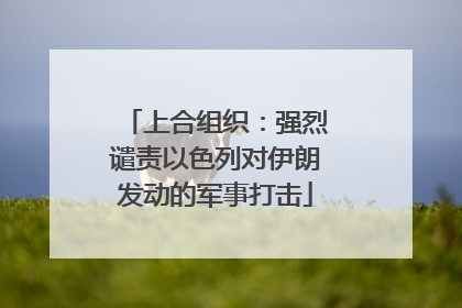 上合组织：强烈谴责以色列对伊朗发动的军事打击