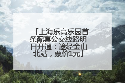 上海乐高乐园首条配套公交线路明日开通：途经金山北站，票价1元