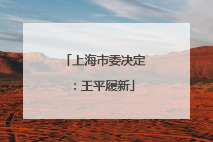 上海市委决定：王平履新
