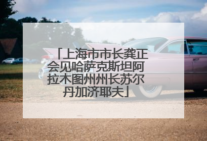 上海市市长龚正会见哈萨克斯坦阿拉木图州州长苏尔丹加济耶夫