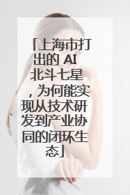上海市打出的 AI 北斗七星，为何能实现从技术研发到产业协同的闭环生态