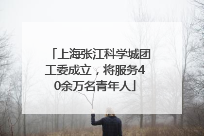 上海张江科学城团工委成立，将服务40余万名青年人