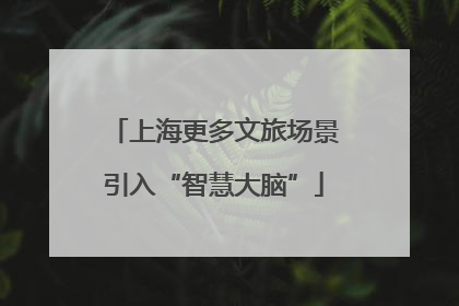 上海更多文旅场景引入“智慧大脑”