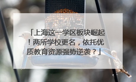 上海这一学区板块崛起！两所学校更名，依托优质教育资源强势逆袭？