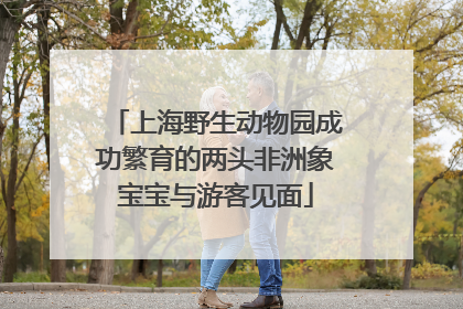 上海野生动物园成功繁育的两头非洲象宝宝与游客见面