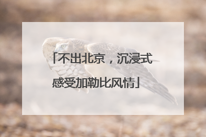 不出北京，沉浸式感受加勒比风情