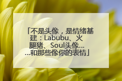 不是头像，是情绪基建：Labubu、火腿猪、Soul头像……和那些像你的表情