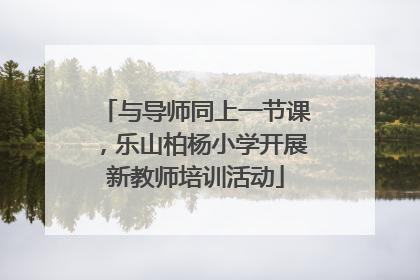 与导师同上一节课，乐山柏杨小学开展新教师培训活动