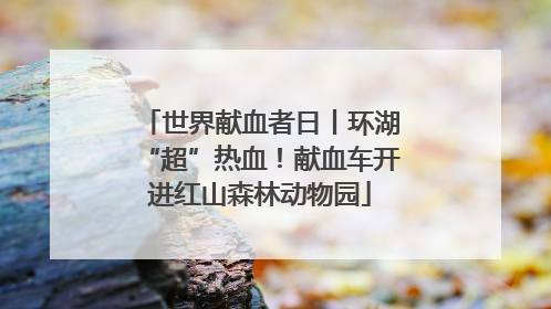 世界献血者日丨环湖“超”热血！献血车开进红山森林动物园