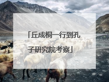 丘成桐一行到孔子研究院考察