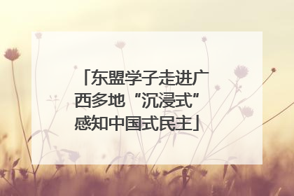 东盟学子走进广西多地“沉浸式”感知中国式民主