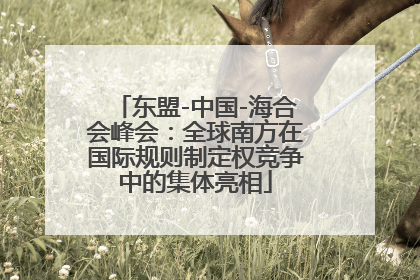 东盟-中国-海合会峰会：全球南方在国际规则制定权竞争中的集体亮相