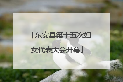 东安县第十五次妇女代表大会开幕
