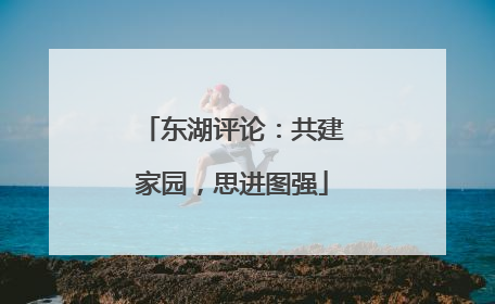 东湖评论：共建家园，思进图强