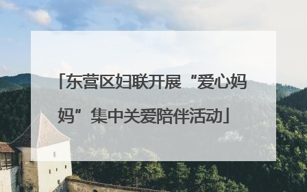 东营区妇联开展“爱心妈妈”集中关爱陪伴活动