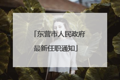 东营市人民政府最新任职通知