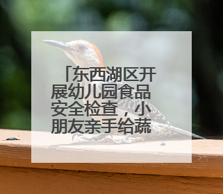 东西湖区开展幼儿园食品安全检查，小朋友亲手给蔬菜做快检
