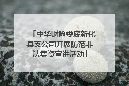 中华财险娄底新化县支公司开展防范非法集资宣讲活动