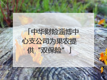 中华财险淄博中心支公司为果农提供“双保险”
