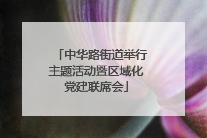 中华路街道举行主题活动暨区域化党建联席会