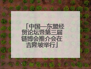 中国—东盟经贸论坛暨第三届链博会推介会在吉隆坡举行
