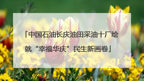 中国石油长庆油田采油十厂绘就“幸福华庆”民生新画卷