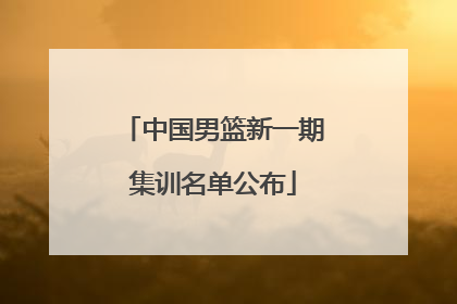 中国男篮新一期集训名单公布