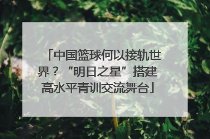 中国篮球何以接轨世界？“明日之星”搭建高水平青训交流舞台