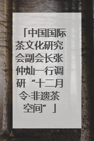 中国国际茶文化研究会副会长张仲灿一行调研“十二月令·非遗茶空间”
