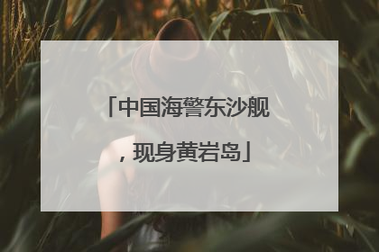 中国海警东沙舰，现身黄岩岛