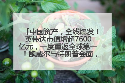 中国资产，全线爆发！英伟达市值增超7600亿元，一度重返全球第一！鲍威尔与特朗普会面，他们聊了什么？