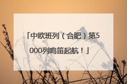 中欧班列（合肥）第5000列鸣笛起航！