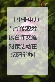 中非电力与新能源发展合作交流对接活动在岳阳举办