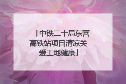 中铁二十局东营高铁站项目清凉关爱工地健康