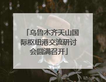 乌鲁木齐天山国际枢纽港交流研讨会圆满召开
