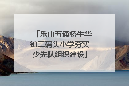 乐山五通桥牛华镇二码头小学夯实少先队组织建设