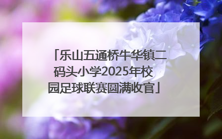 乐山五通桥牛华镇二码头小学2025年校园足球联赛圆满收官
