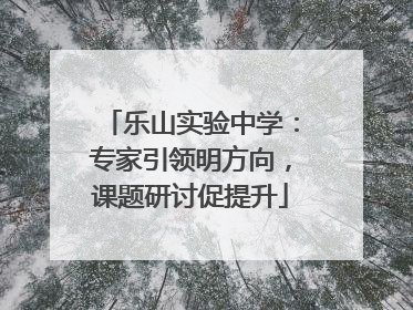 乐山实验中学：专家引领明方向，课题研讨促提升