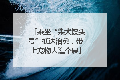 乘坐“柴犬馒头号”抵达治愈，带上宠物去逛个展