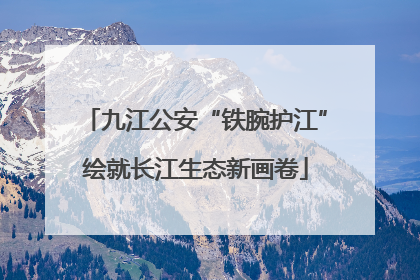 九江公安“铁腕护江”绘就长江生态新画卷