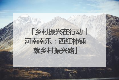 乡村振兴在行动丨河南南乐：西红柿铺就乡村振兴路