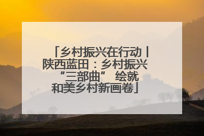 乡村振兴在行动丨陕西蓝田：乡村振兴 “三部曲” 绘就和美乡村新画卷