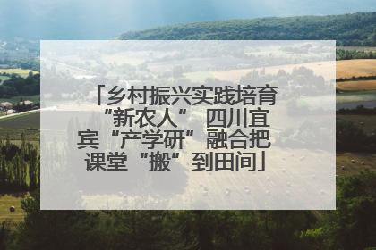 乡村振兴实践培育“新农人” 四川宜宾“产学研”融合把课堂“搬”到田间