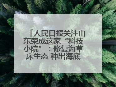 人民日报关注山东荣成这家“科技小院”：修复海草床生态 种出海底“森林”