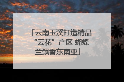 云南玉溪打造精品“云花”产区 蝴蝶兰飘香东南亚