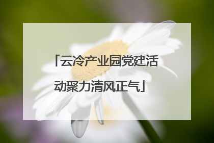 云冷产业园党建活动聚力清风正气